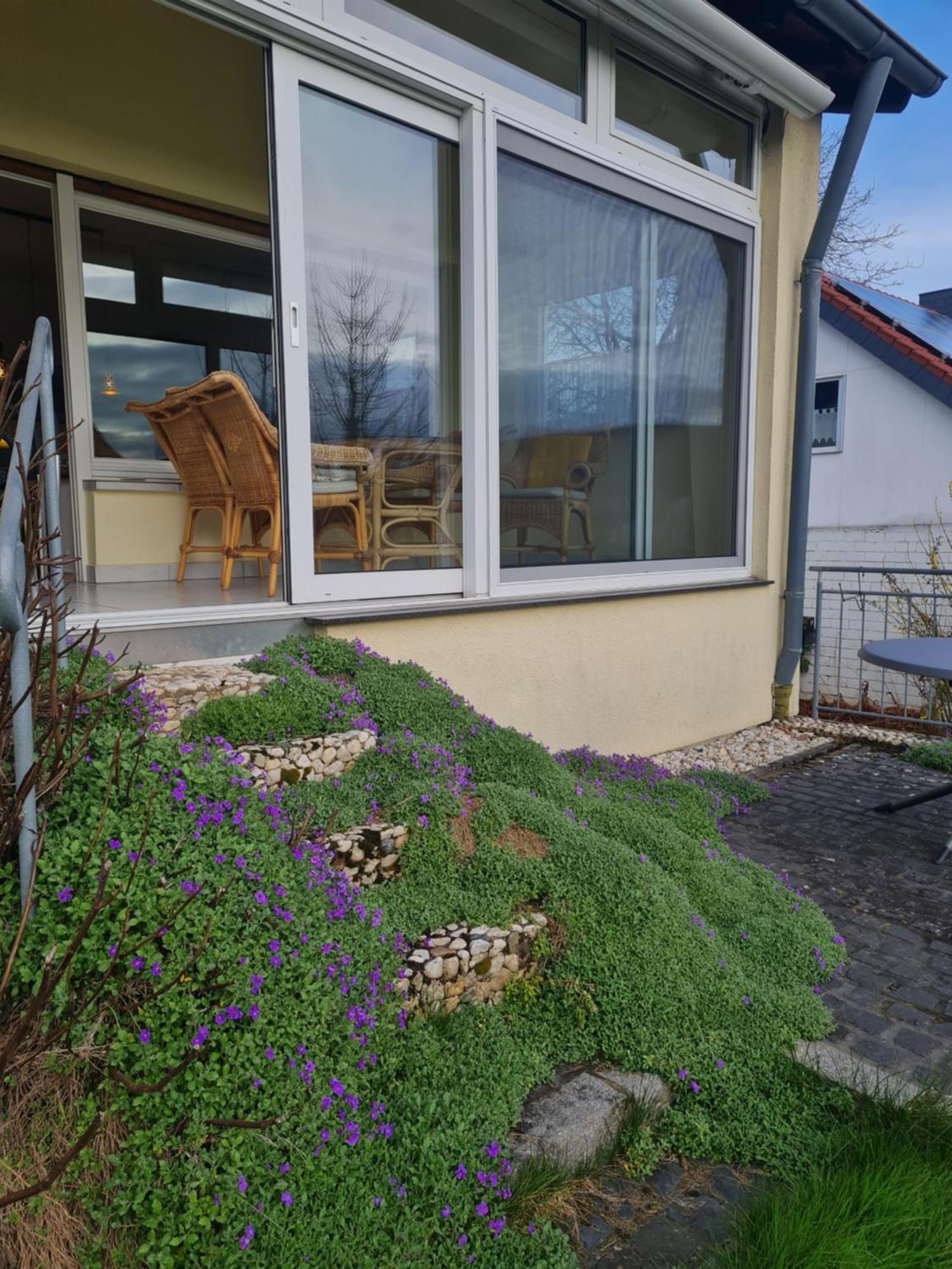 Ferienwohnung Im Rurtal Kreuzau ภายนอก รูปภาพ