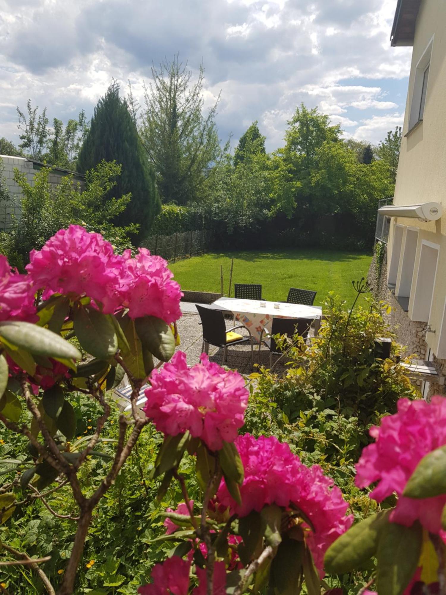 Ferienwohnung Im Rurtal Kreuzau ภายนอก รูปภาพ
